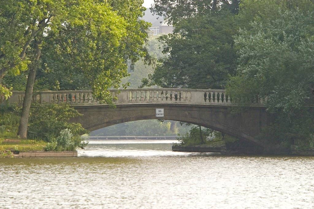 Feature Fountain & Gardens