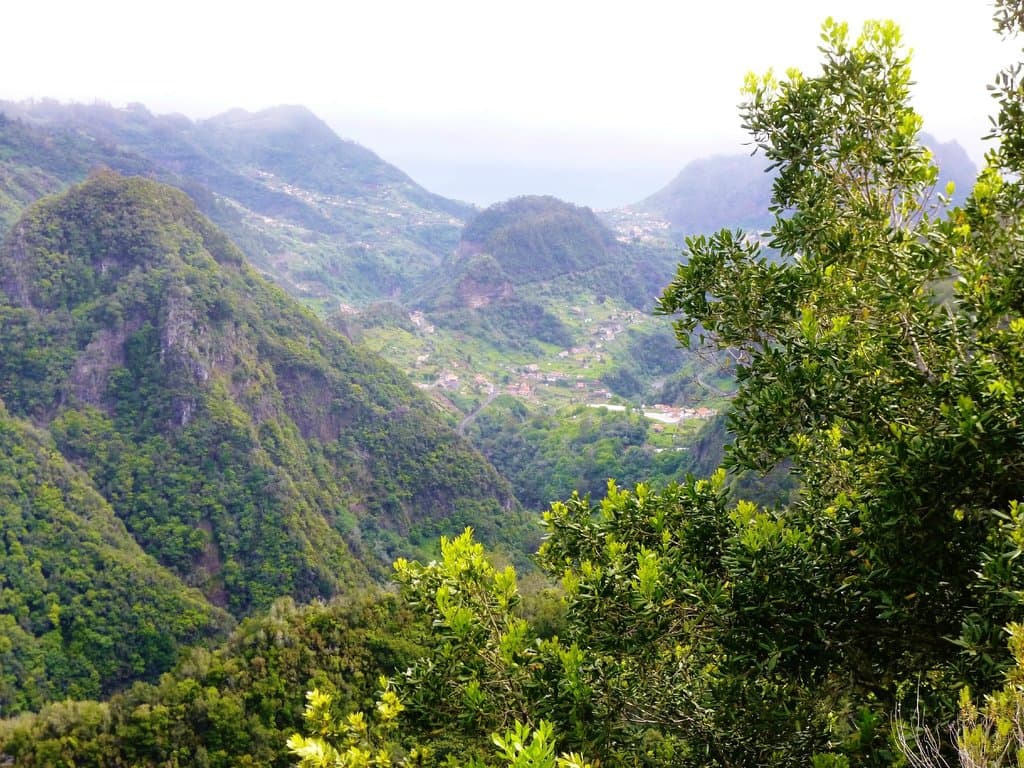 stunning viewpoint