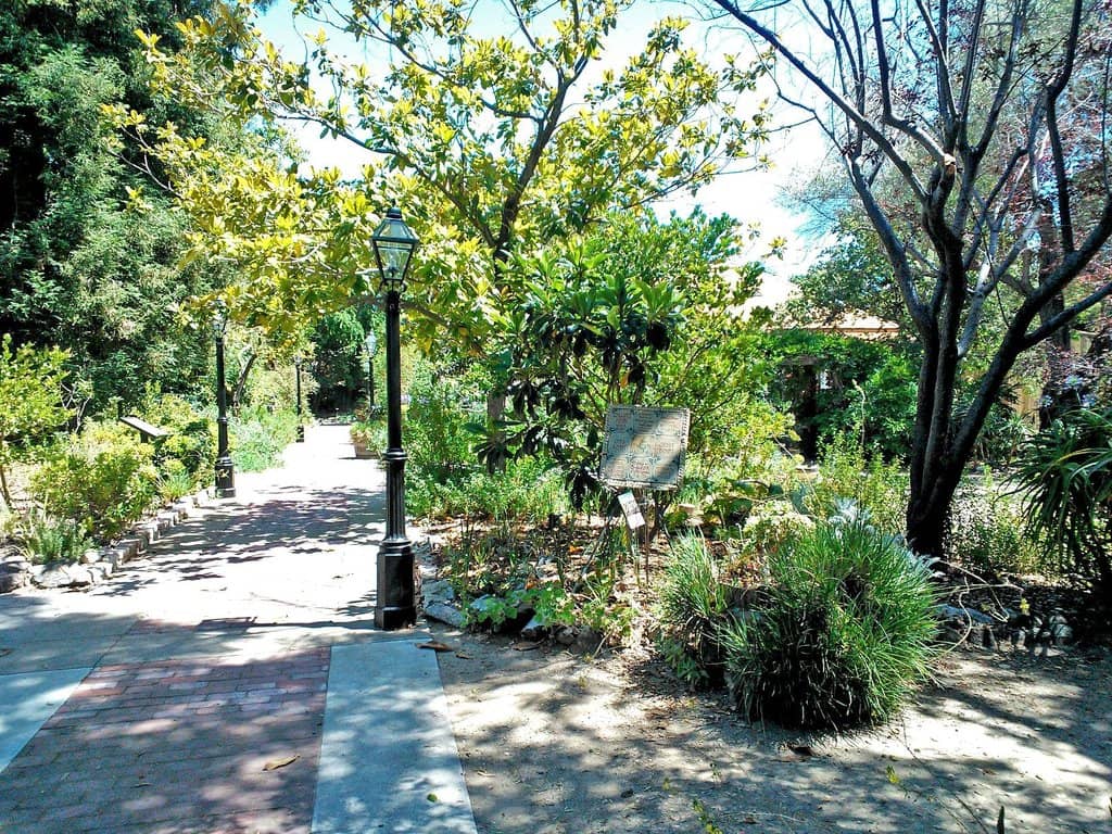 Enchanting Gardens