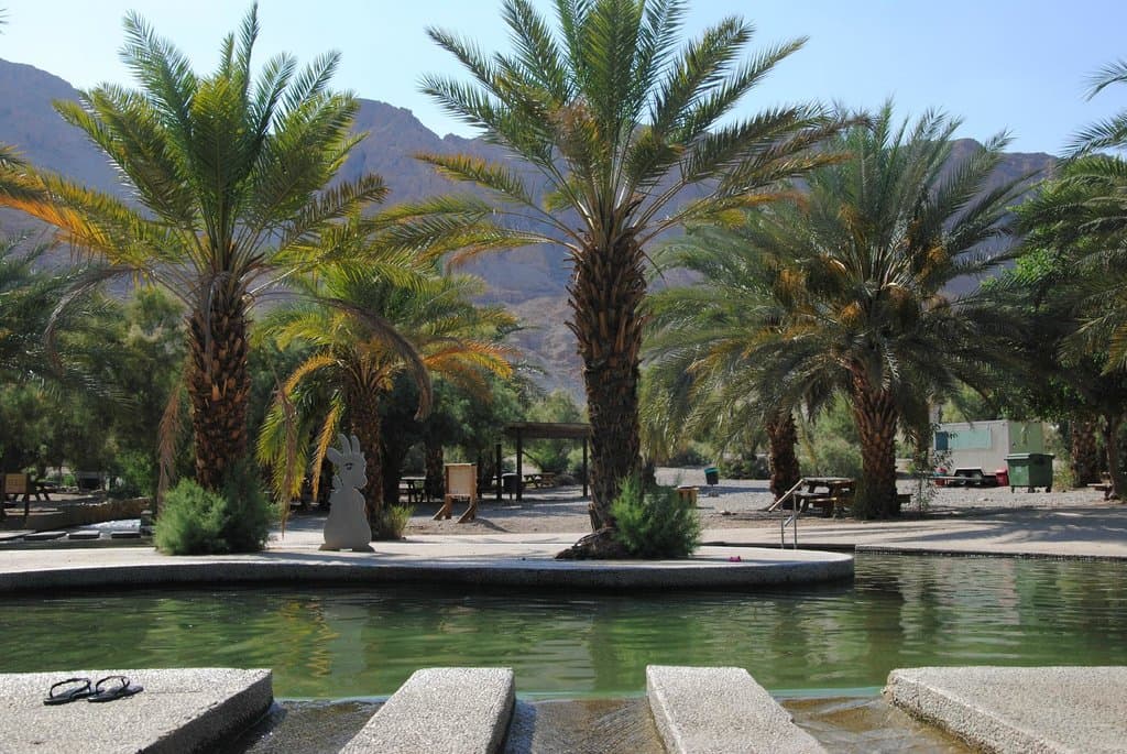 Greenery against the arid mountain
