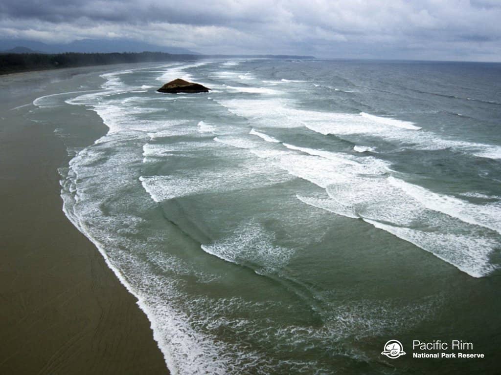 The Endless Shoreline