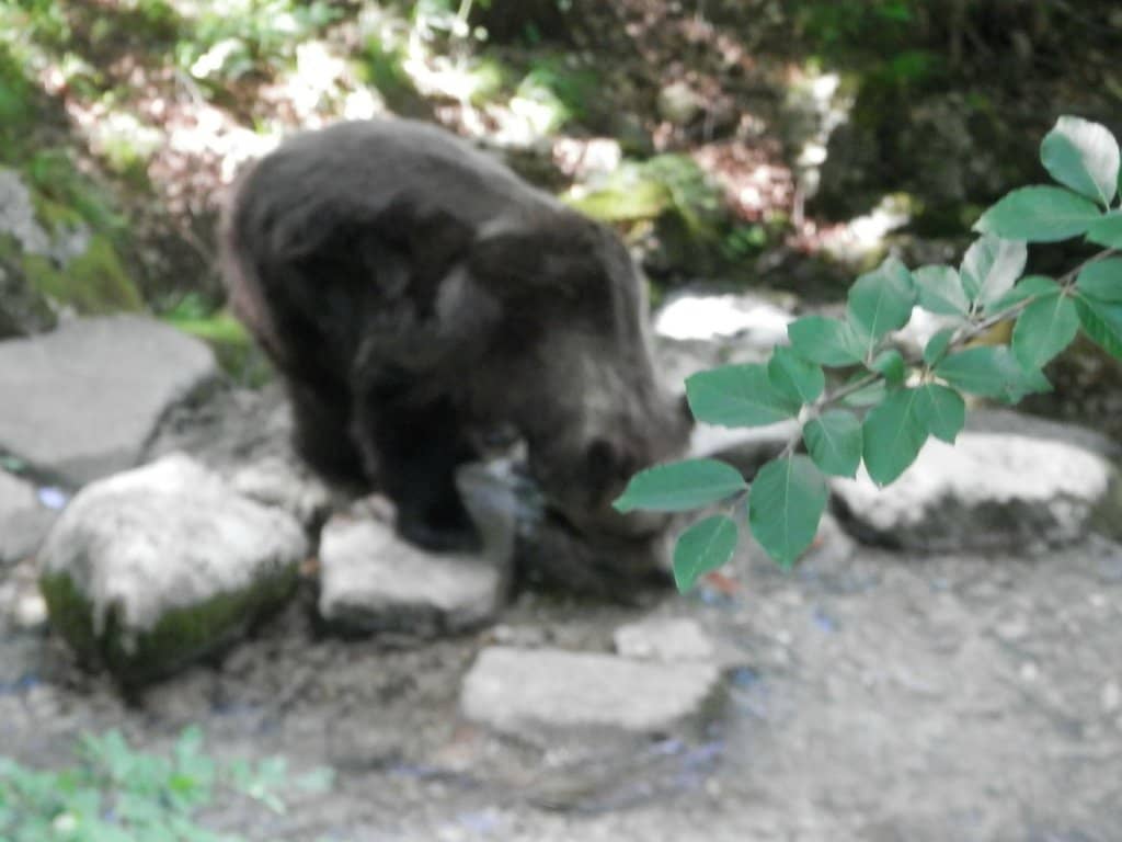 Vertical photo