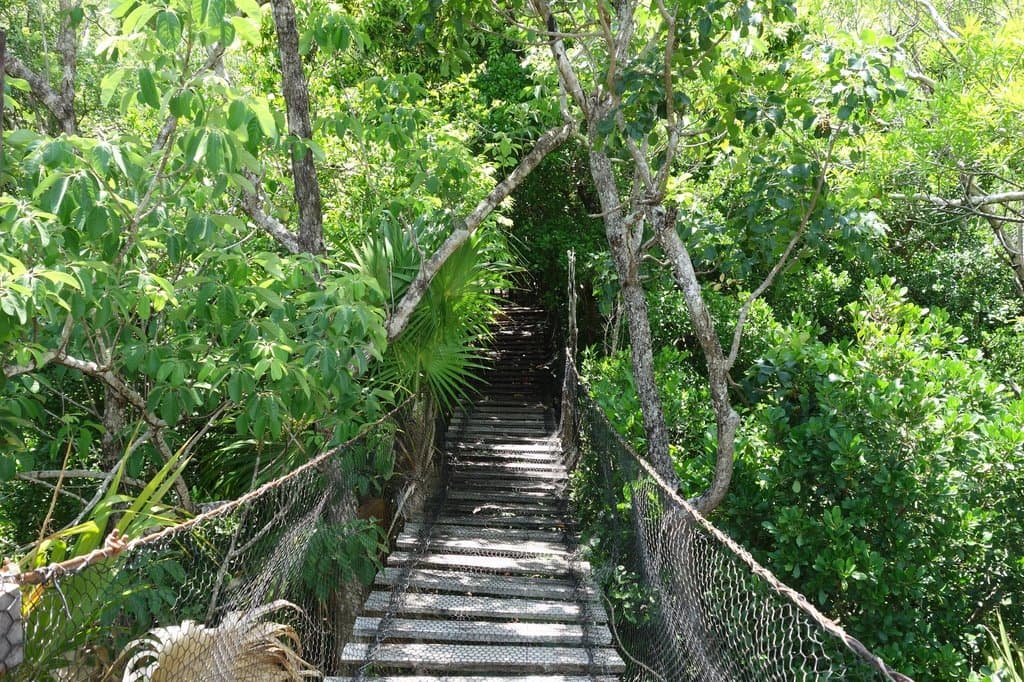 Hanging bridge