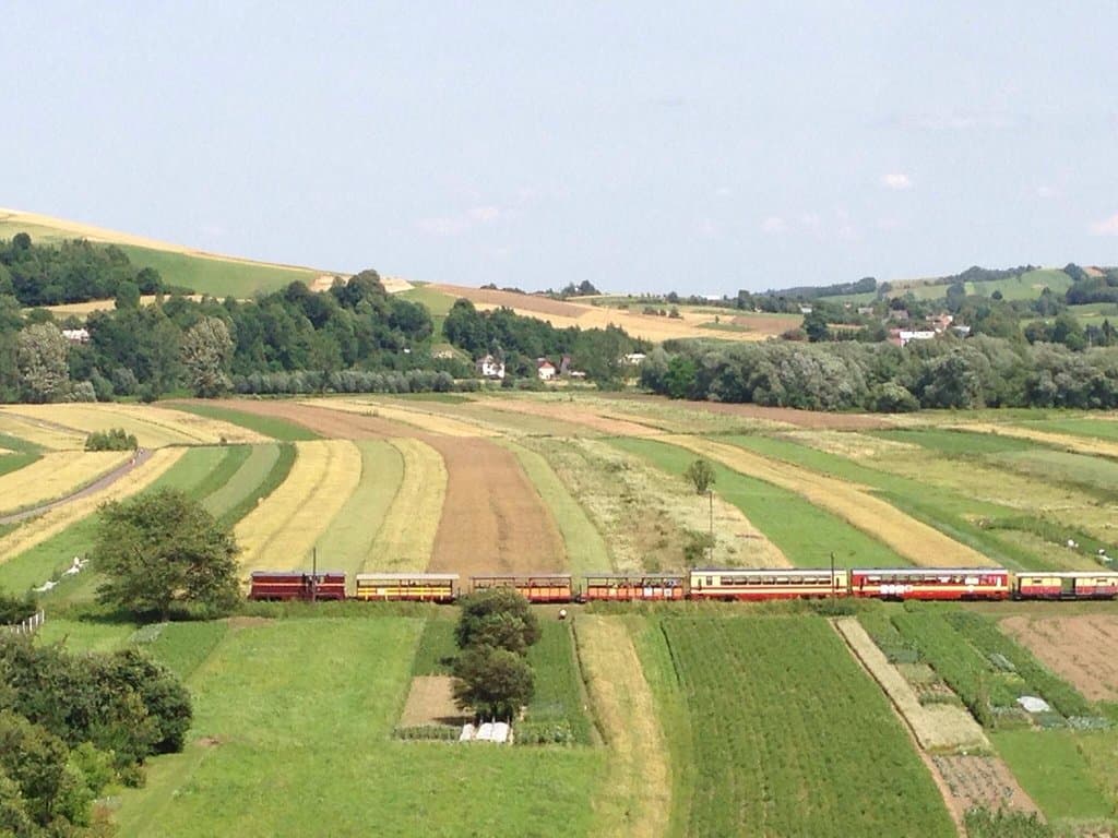 Kolejka wąskotorowa w Dynowie