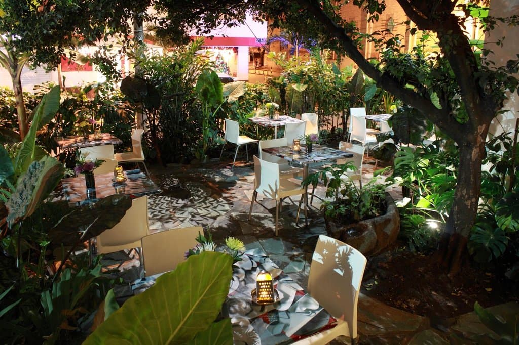 Terraza