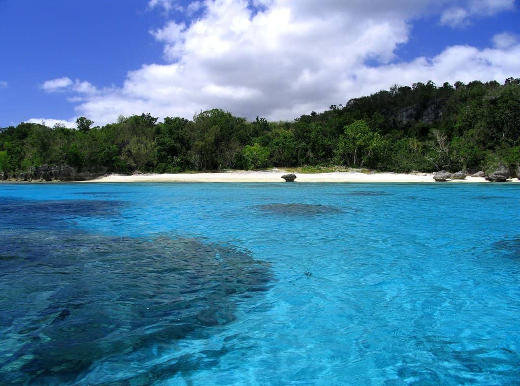 Vibrant Coral Reefs