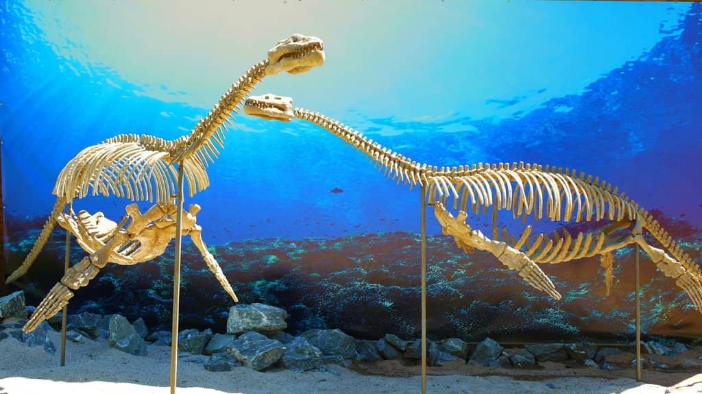 3D Cinema Experience