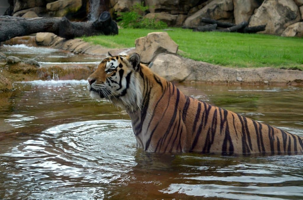 Cooling off