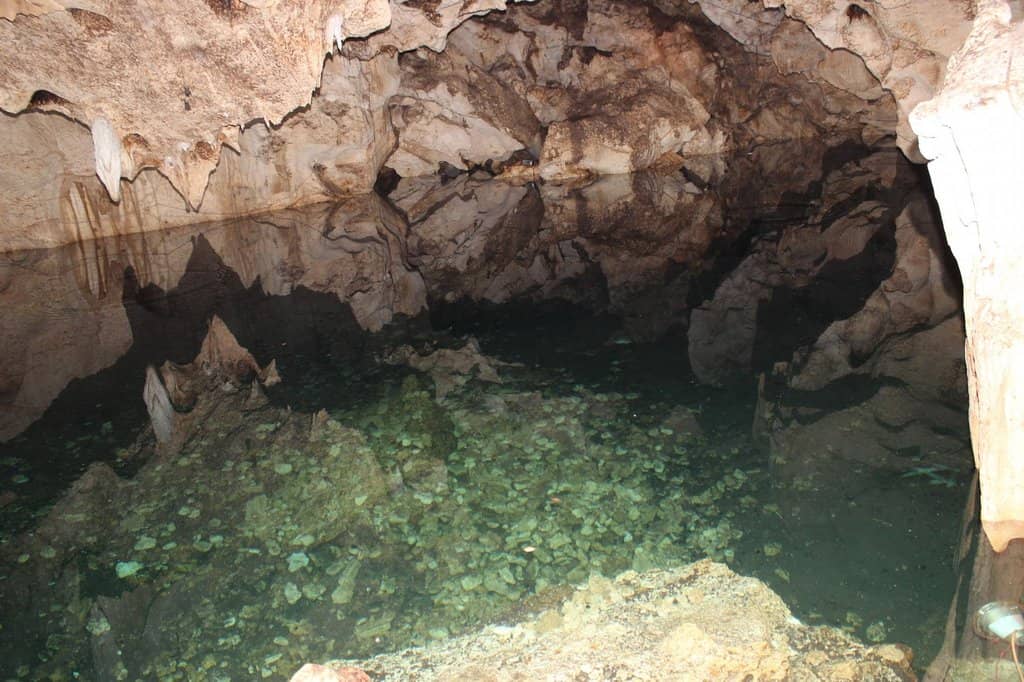 Refreshing Swim