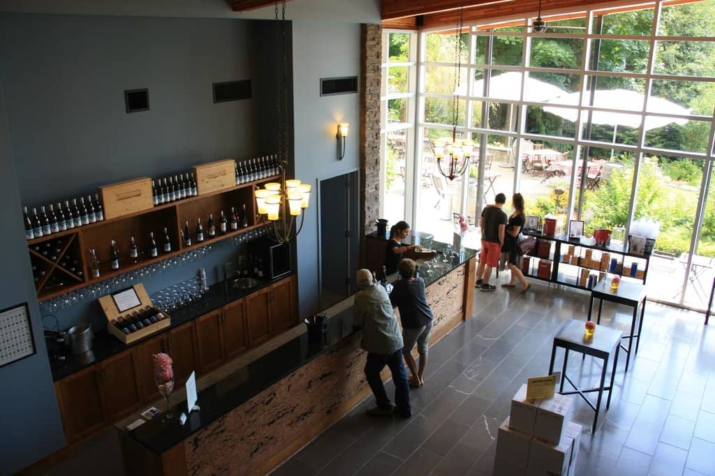 Dog-Friendly Welcome