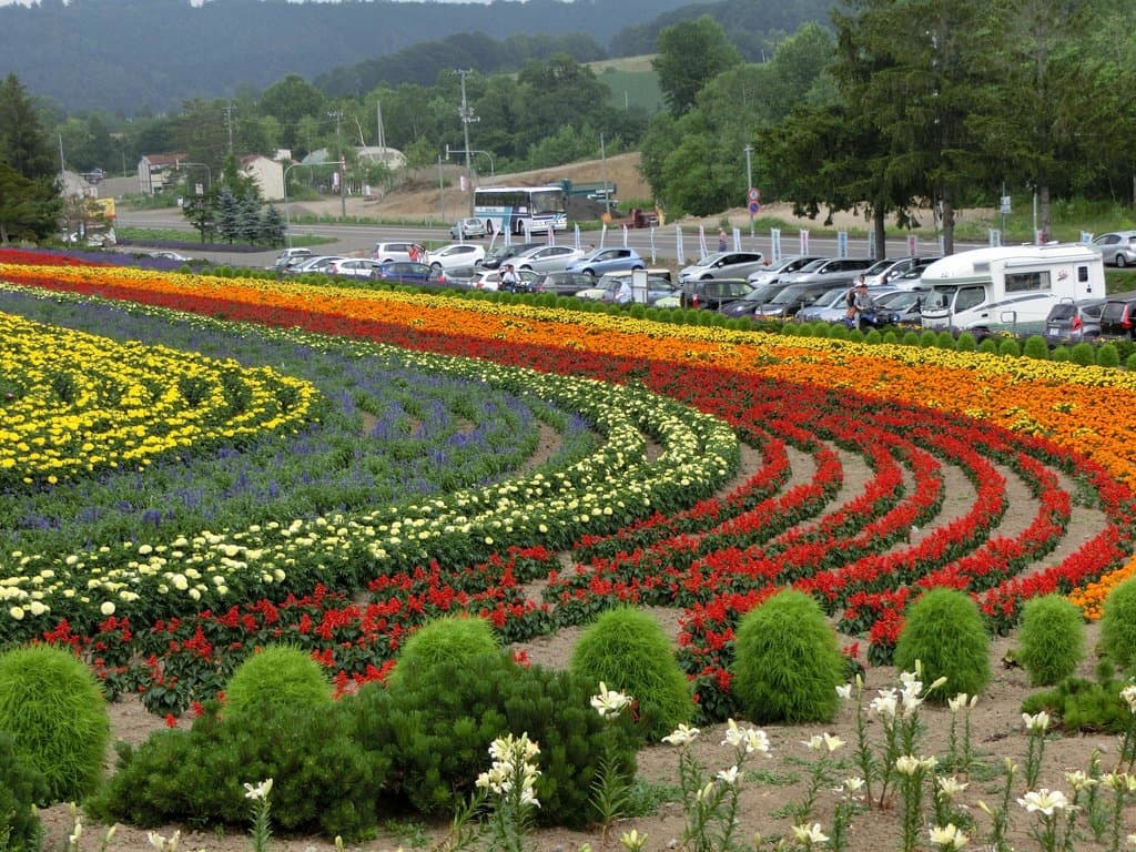 花畑