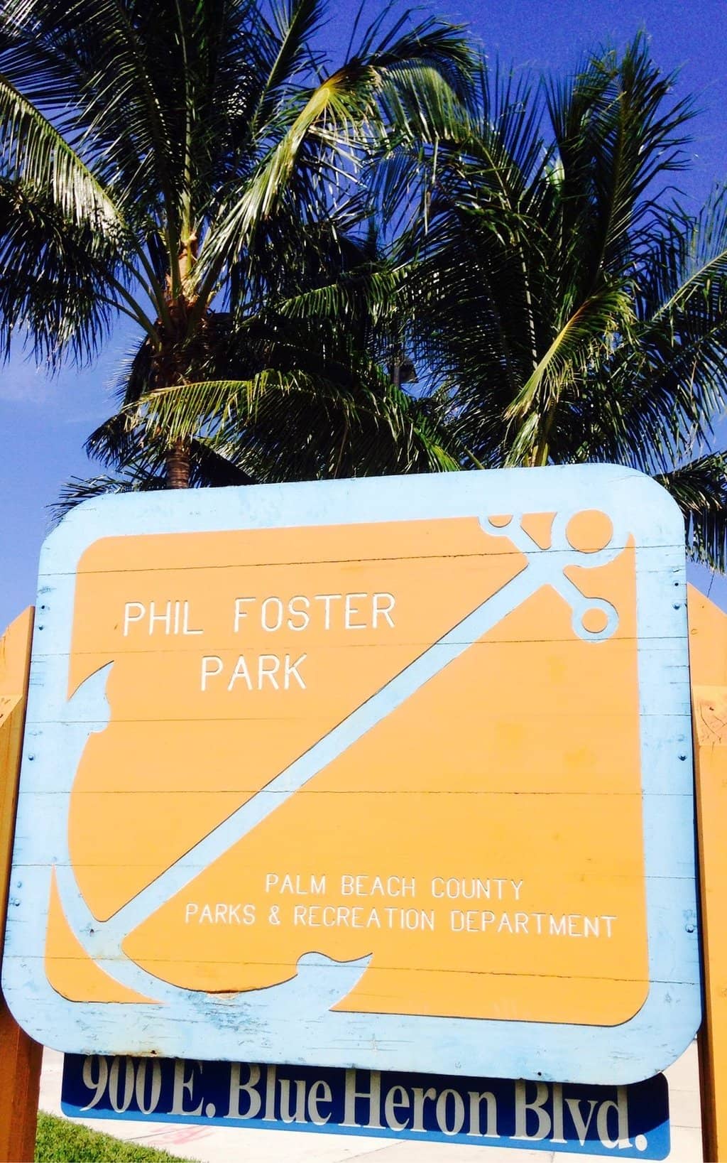 Shaded Beach Area