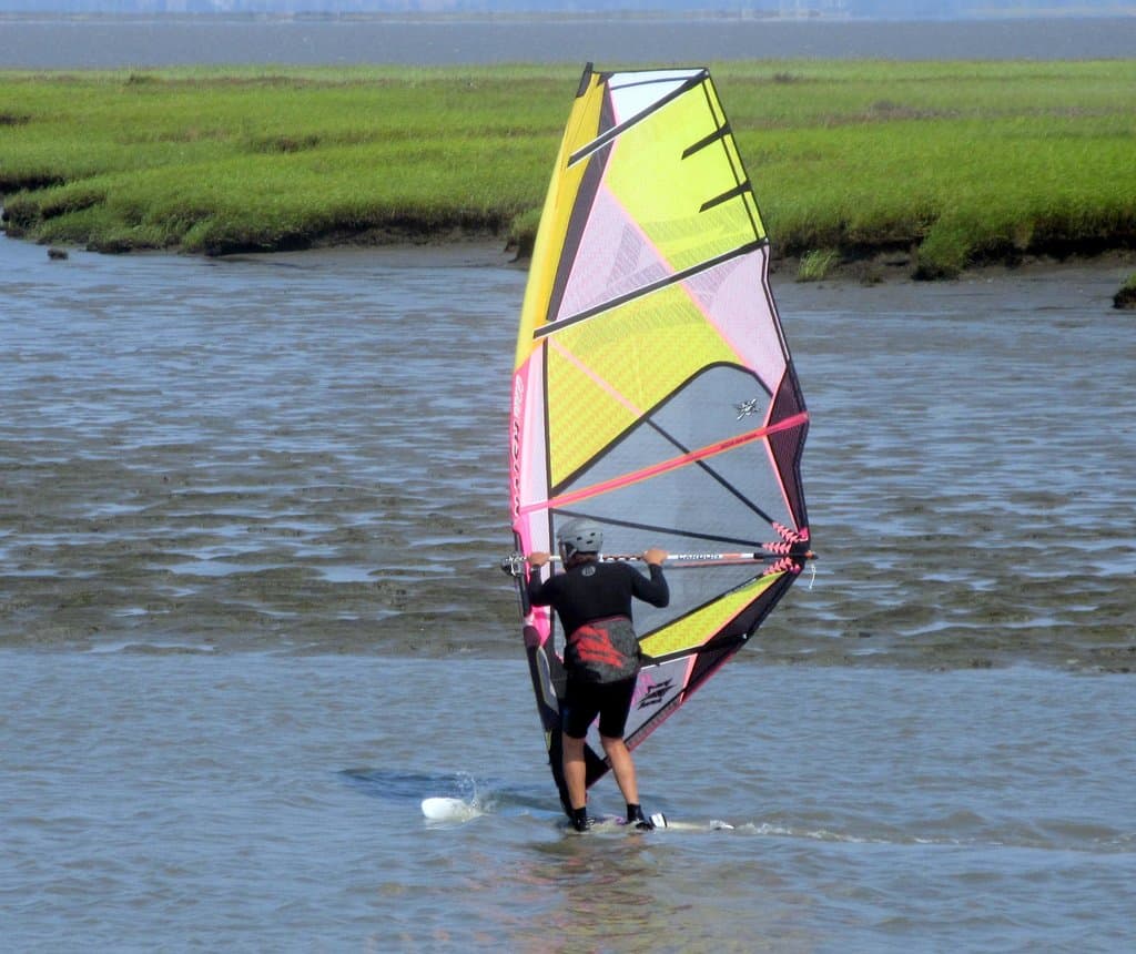 Windsurfing - Lucy Evans Interpretive Center Area, Palo Alto, Ca