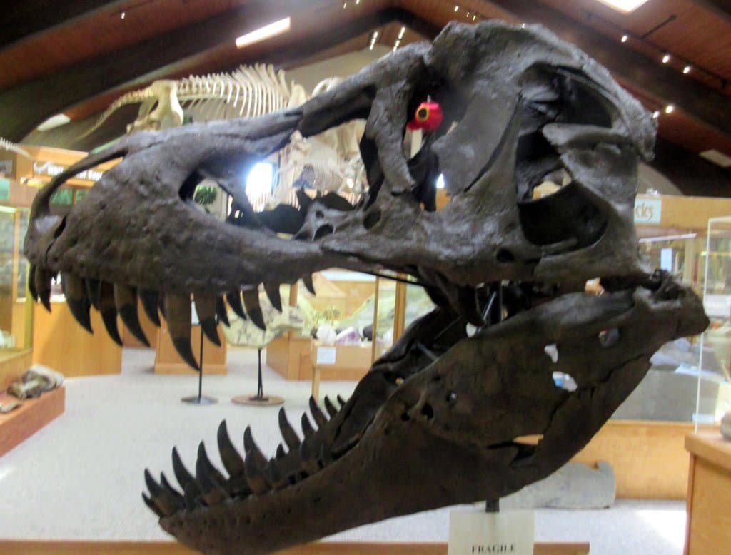 Tate Geological Museum, Casper, Wy