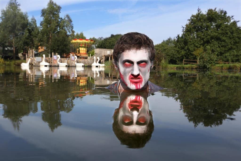 Sheep Racing & Shows