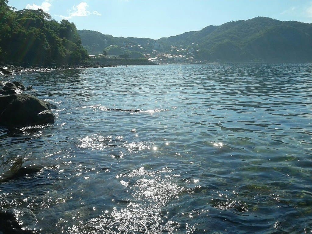 この海岸沿いにシュノーケルするといろいろな魚が見られます。透明度もかなりよく海底まで見えます。