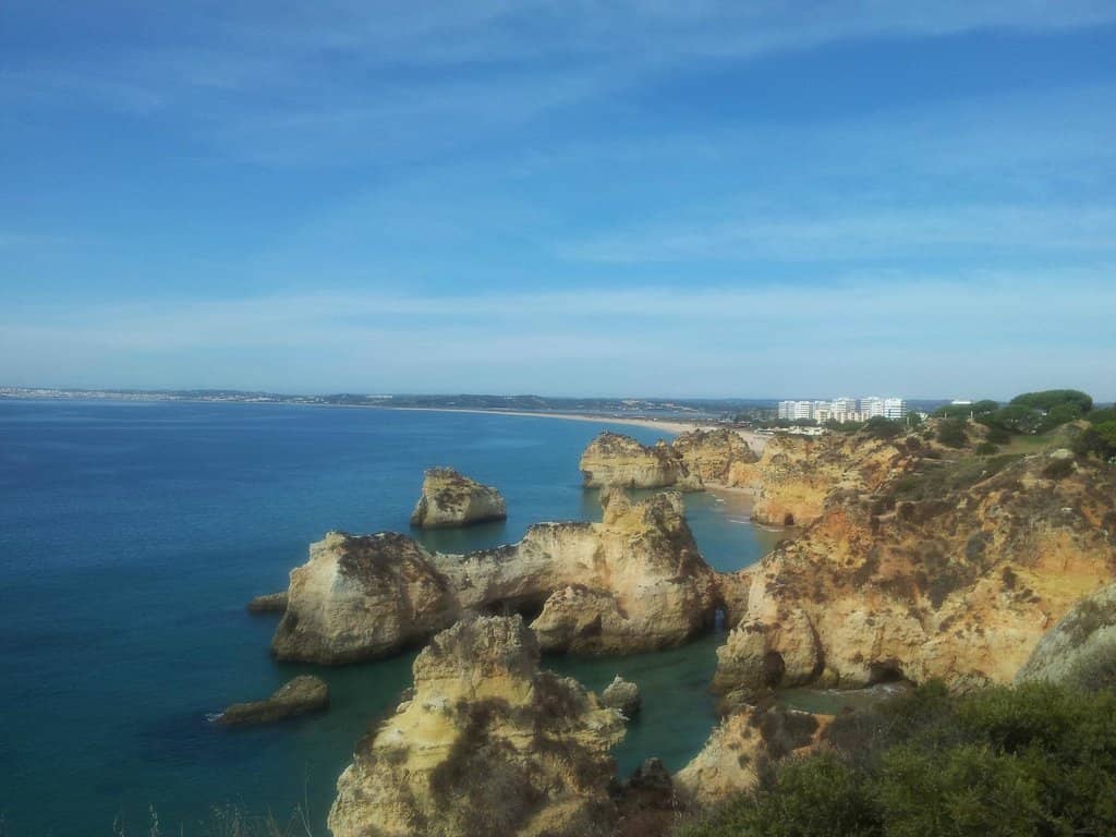 Vertical photo
