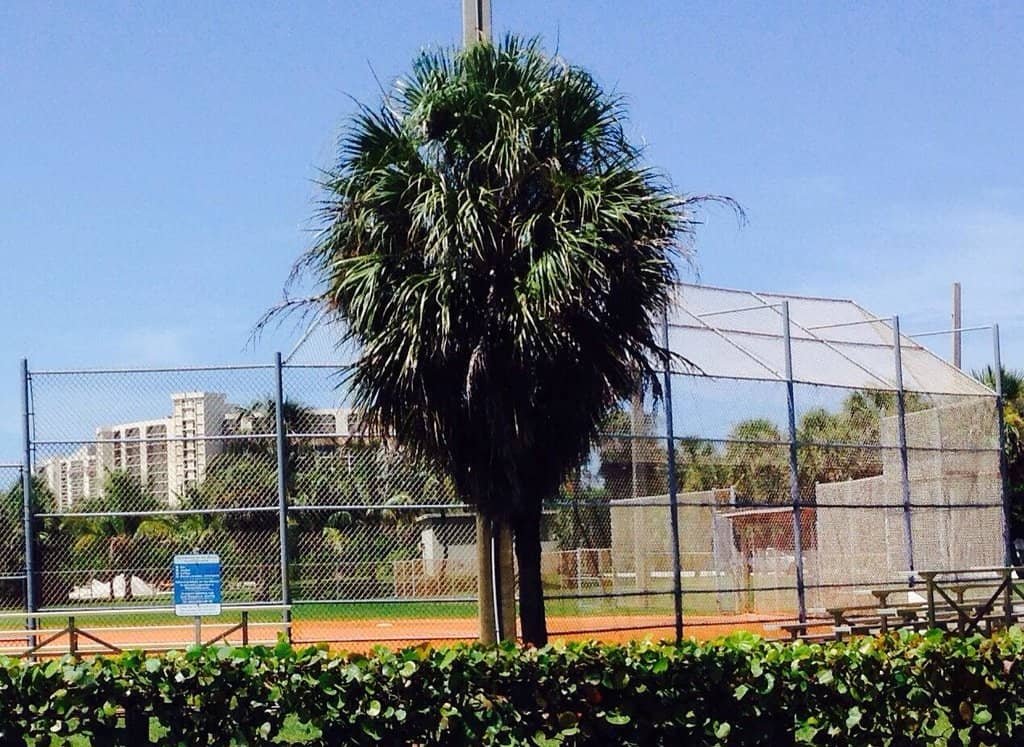 Family Recreation Areas