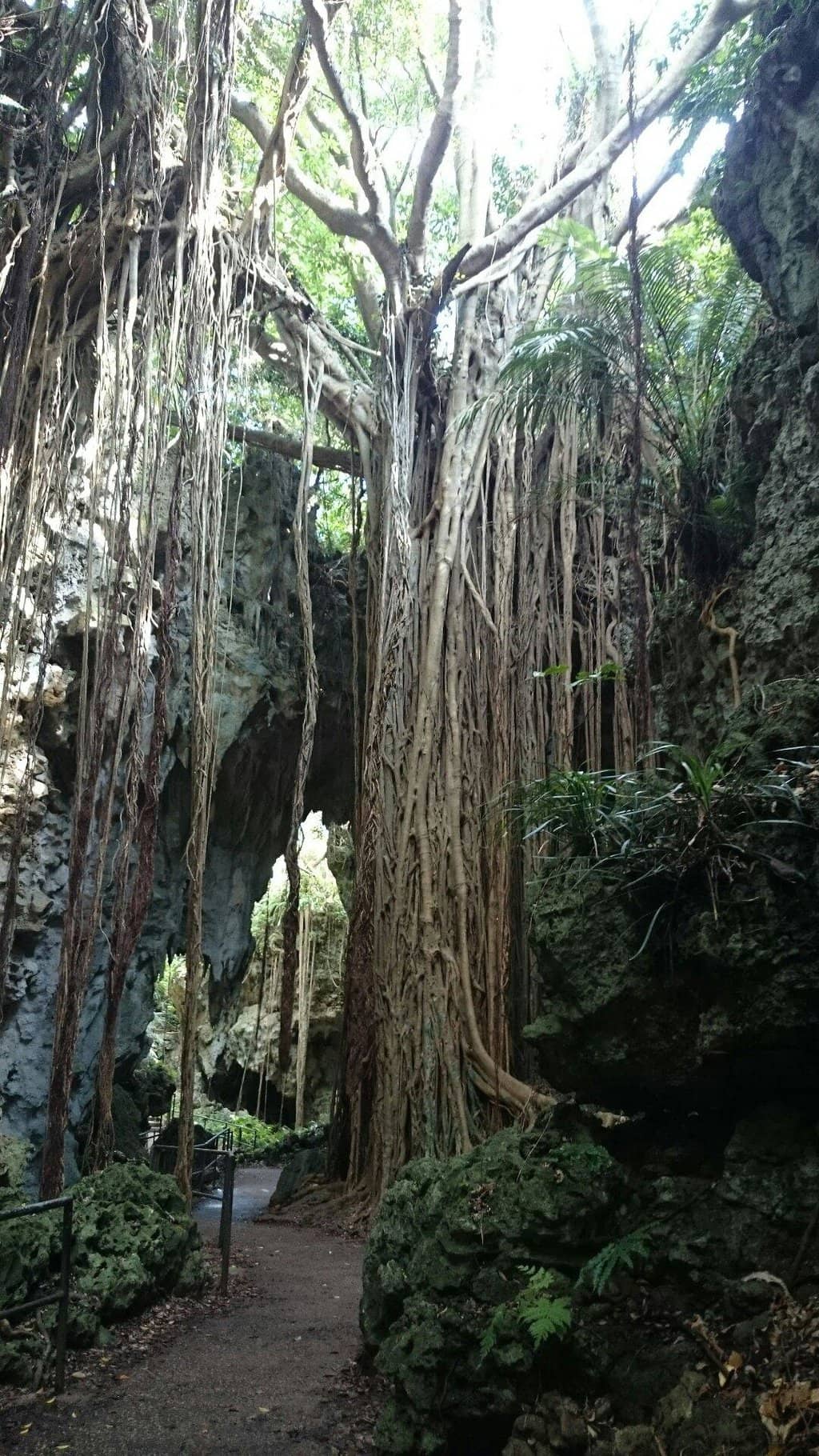 Cave Cafe