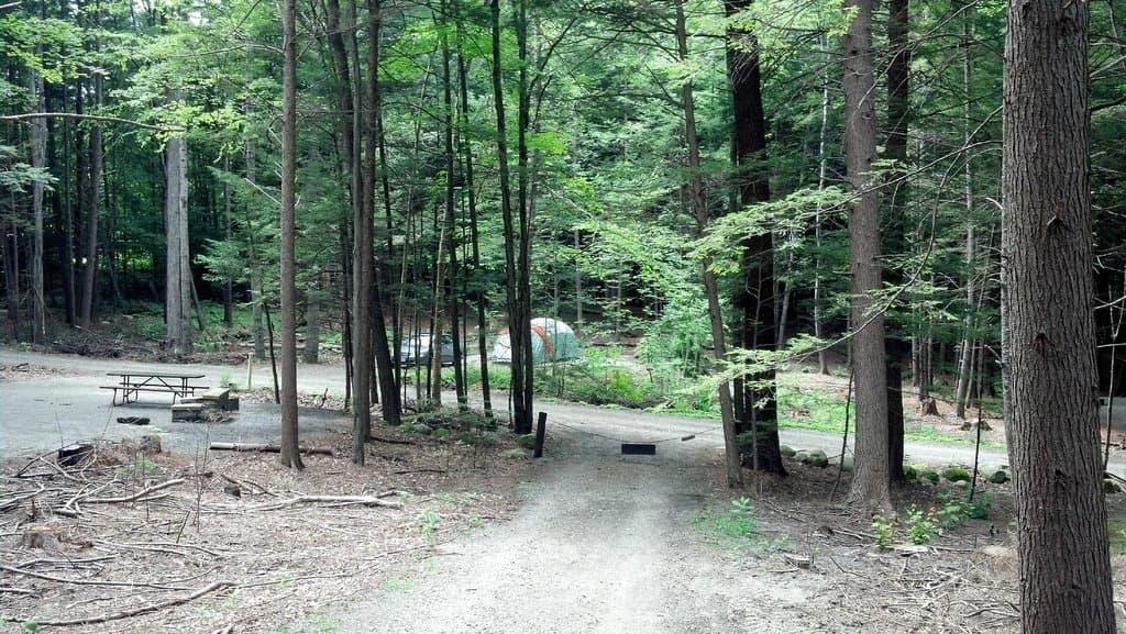 Fort Dummer