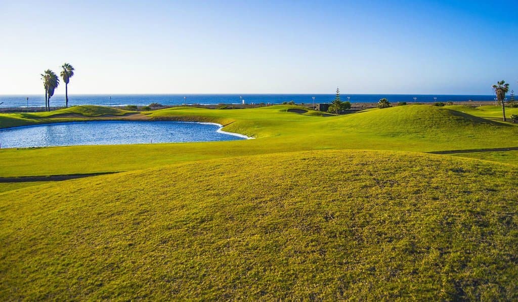 Campo de Golf