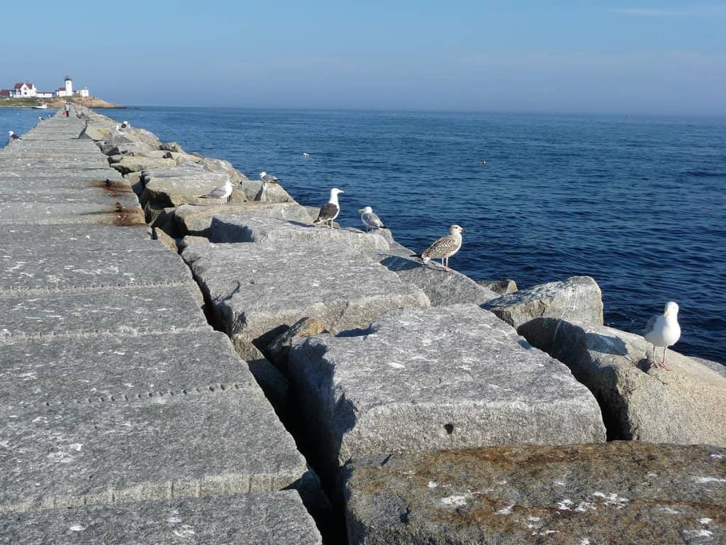 Dog Bar Breakwater Lighthouse