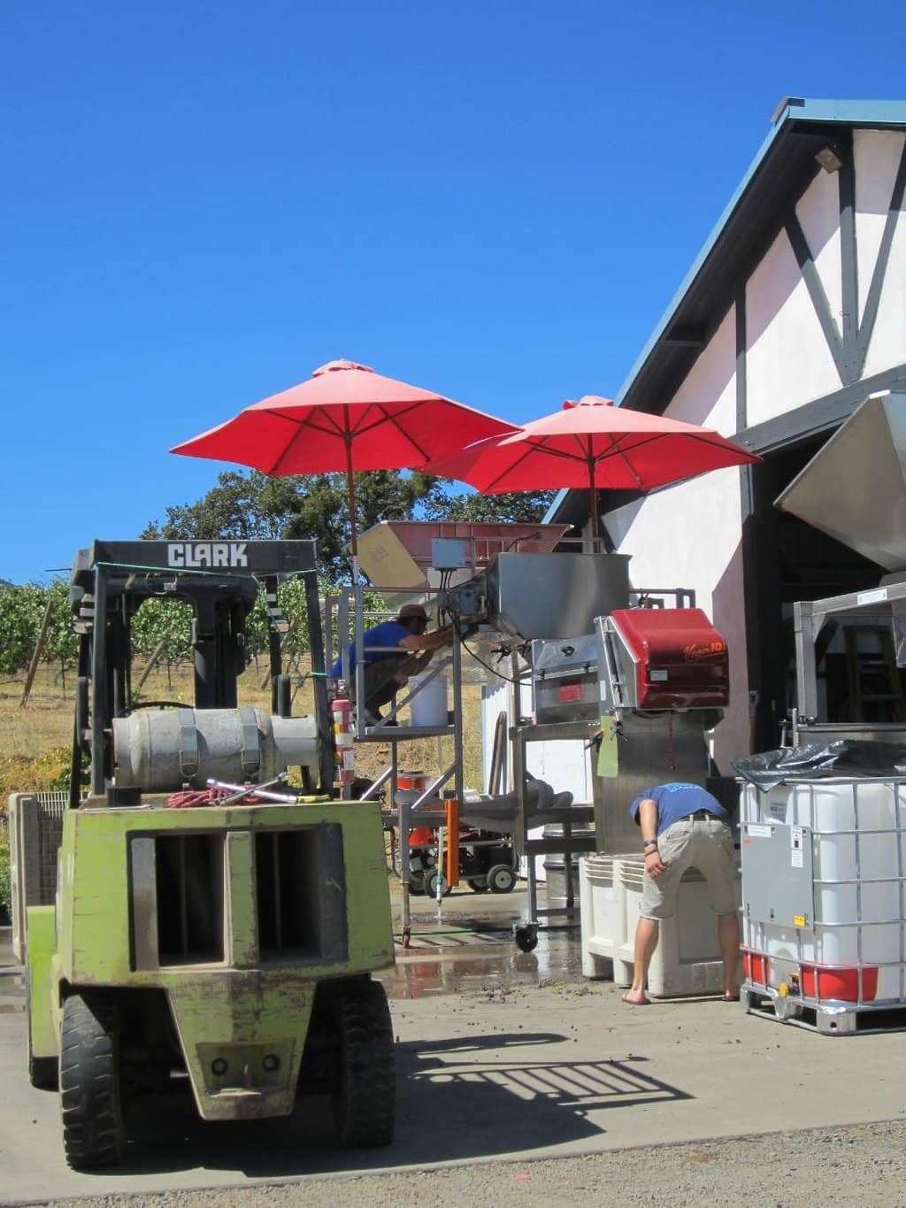 Award-Winning Wines