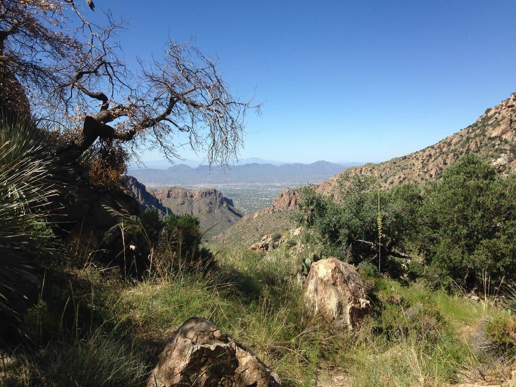 View of Tucson from Pima Canyon
