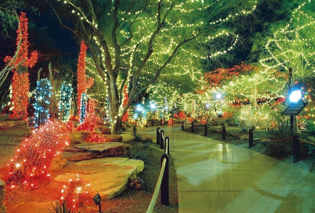 The cactus garden during the holidays.