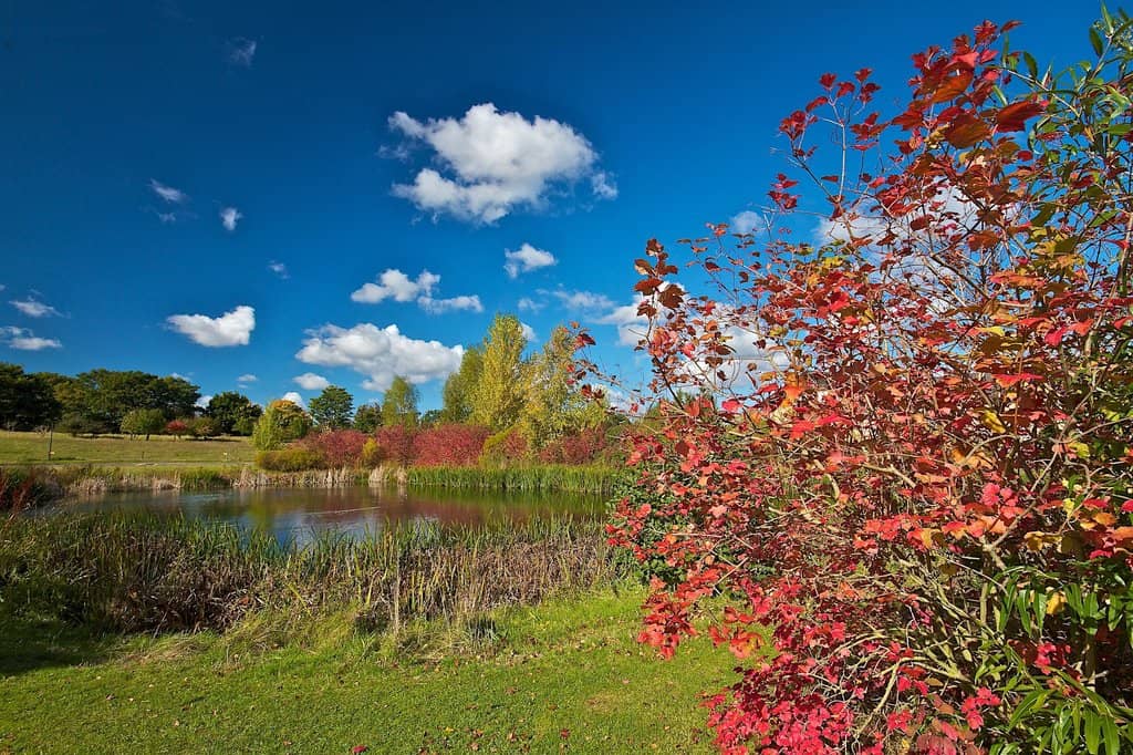 Birdwatching from Hides
