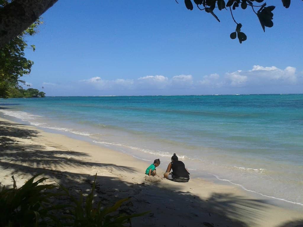 Coconut Milk & Weaving