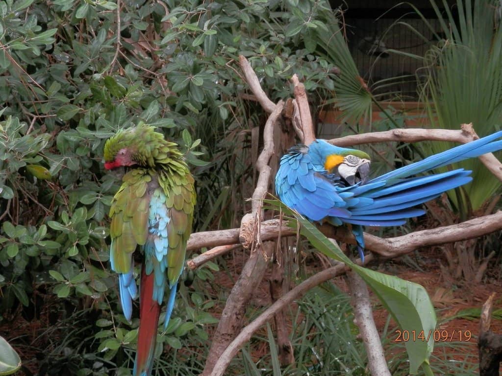 Hann Park Zoo