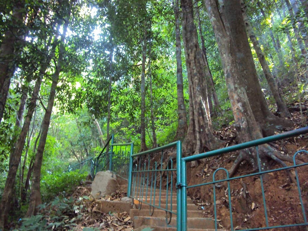 Behind the Cascade Path