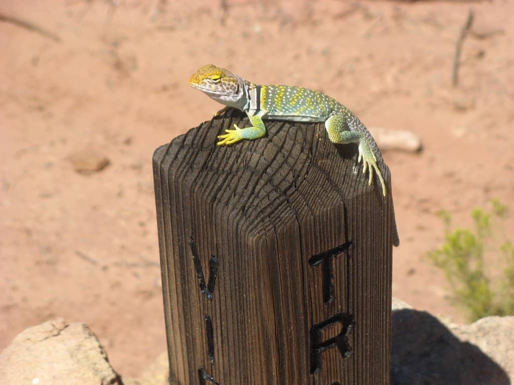 Paved Trail to Ruins