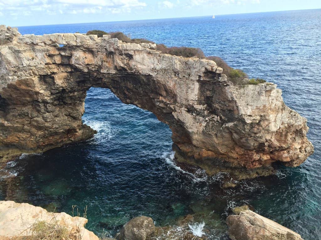 Vertical photo