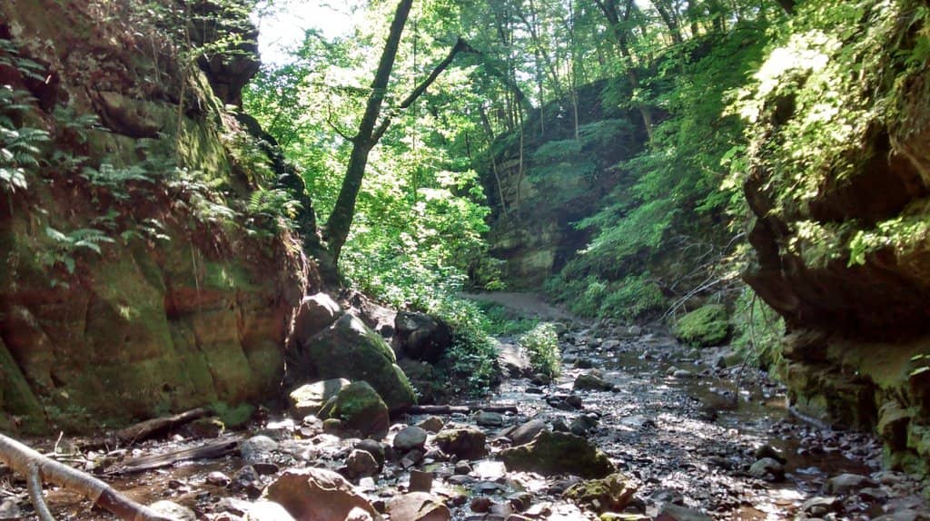 Wisconsin's First Natural Area