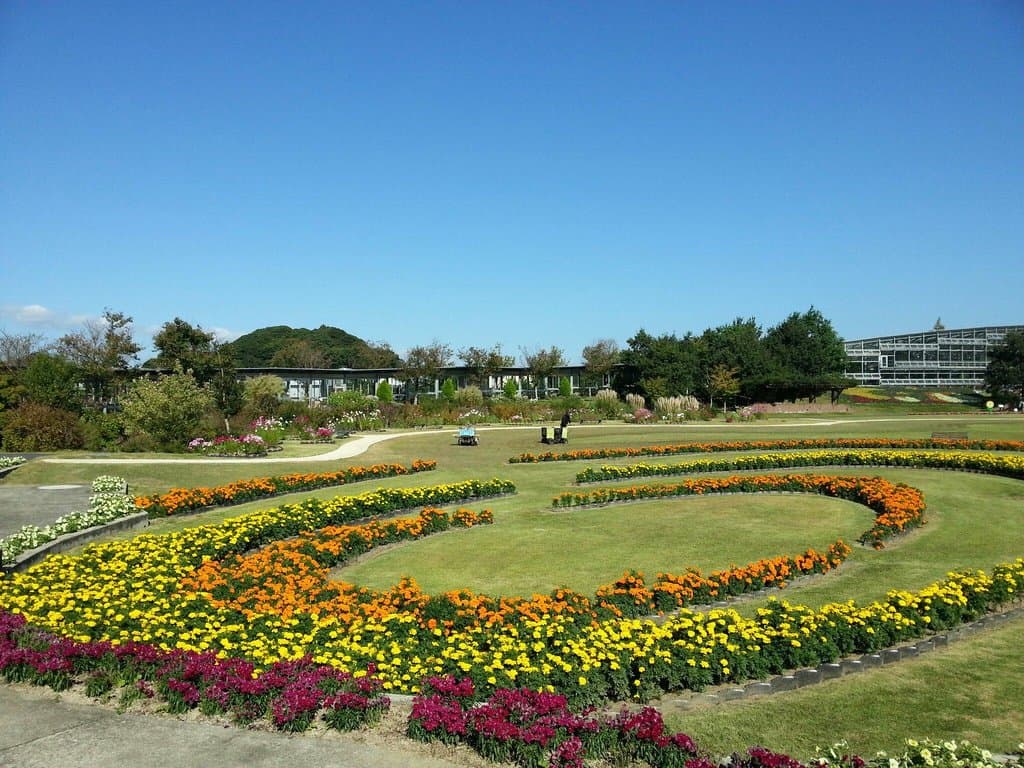 中央の芝生広場も圧巻です!(10月上旬撮影)