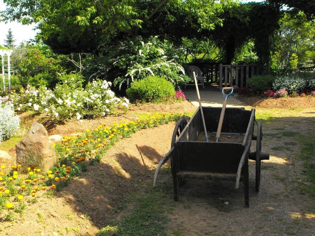 The Anne of Green Gables Store