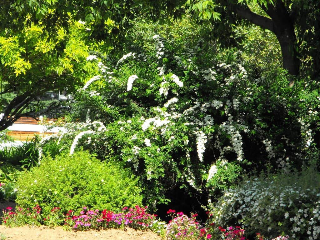 Historic Schoolhouse
