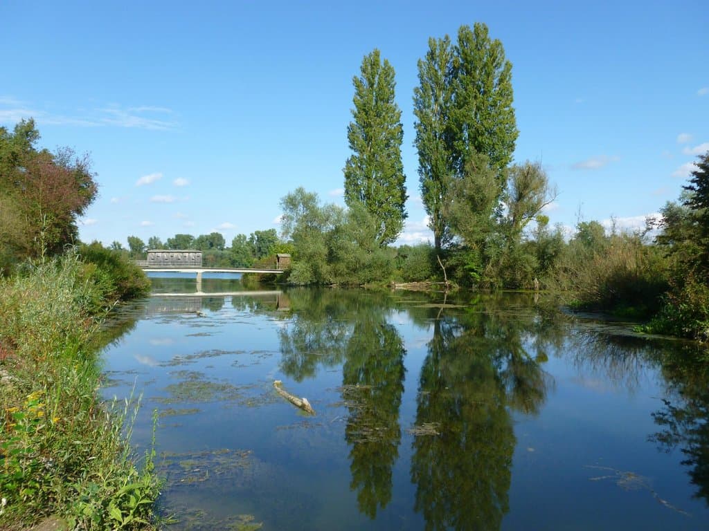 Reseve Naturelle de l'Ile du Rohrschollen