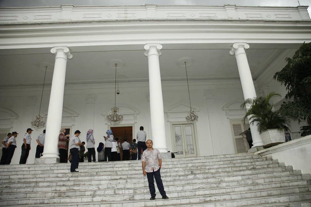 Palm Tree Collection