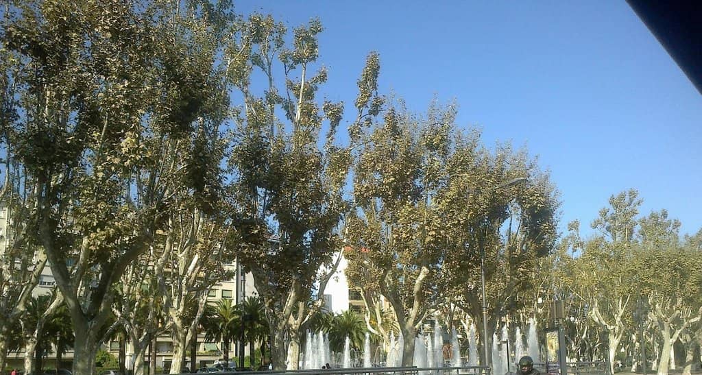 Vertical photo