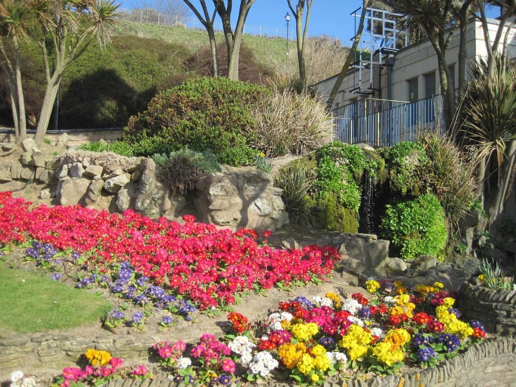 Panoramic Viewpoints