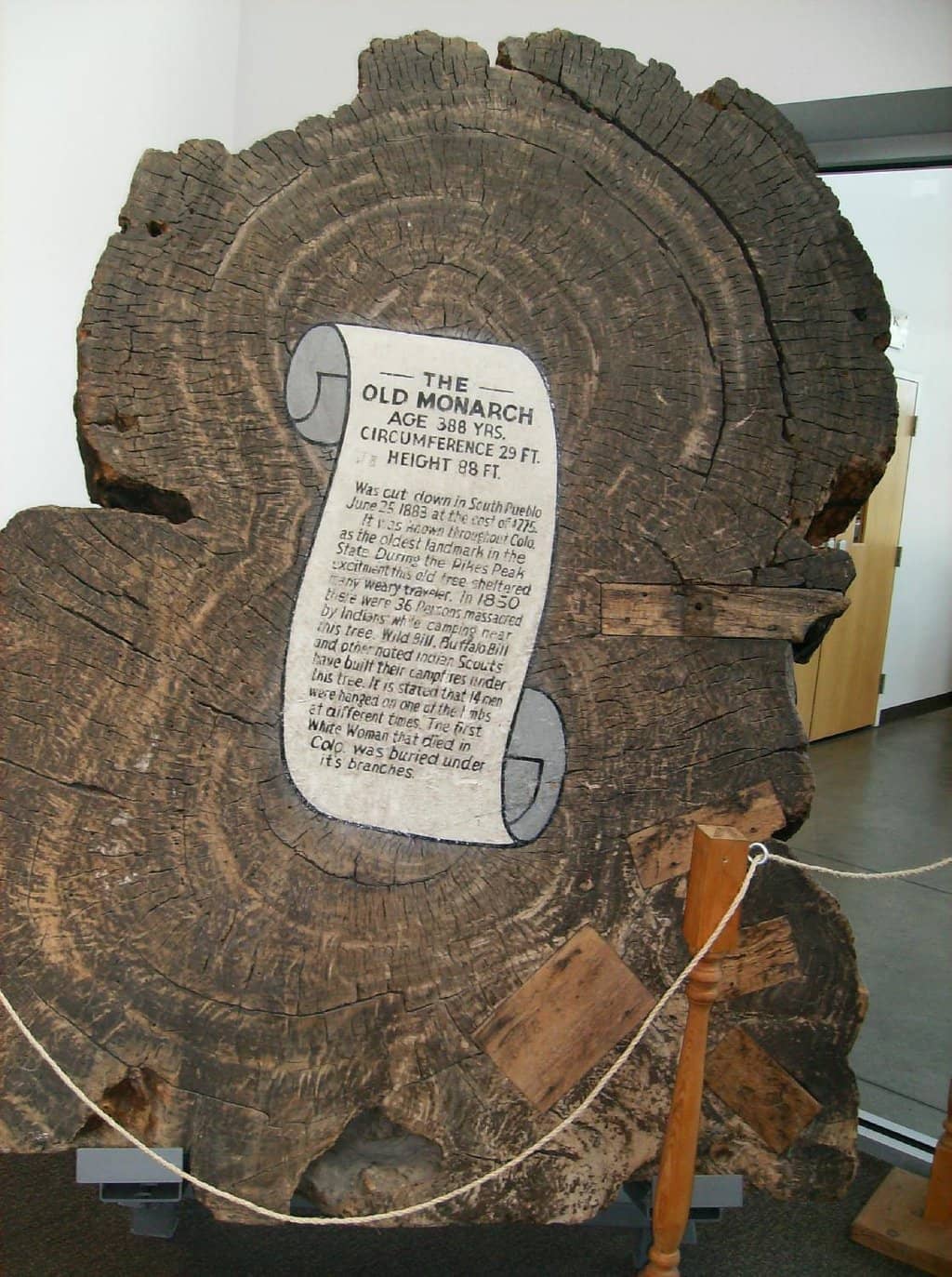 Steel Workers Strikes Exhibit