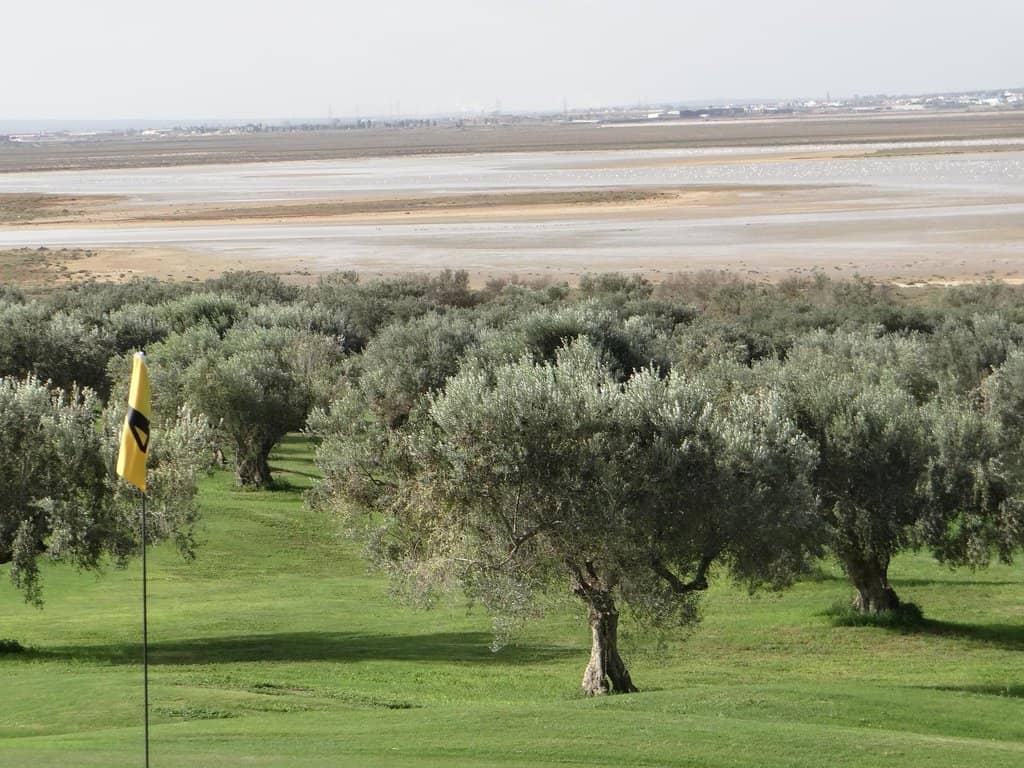 Brunch and Chill Vibes