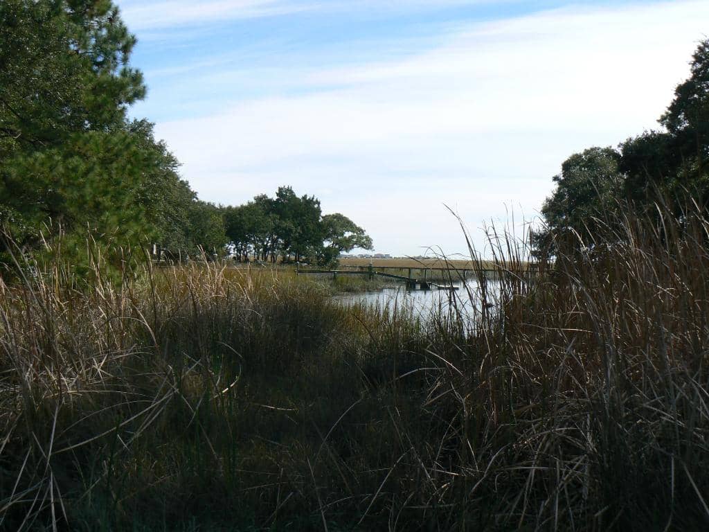 Scenic Coastal Views