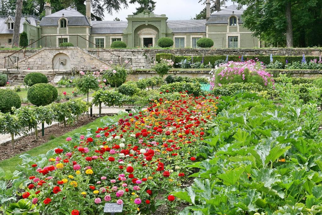 Le potager fleuri