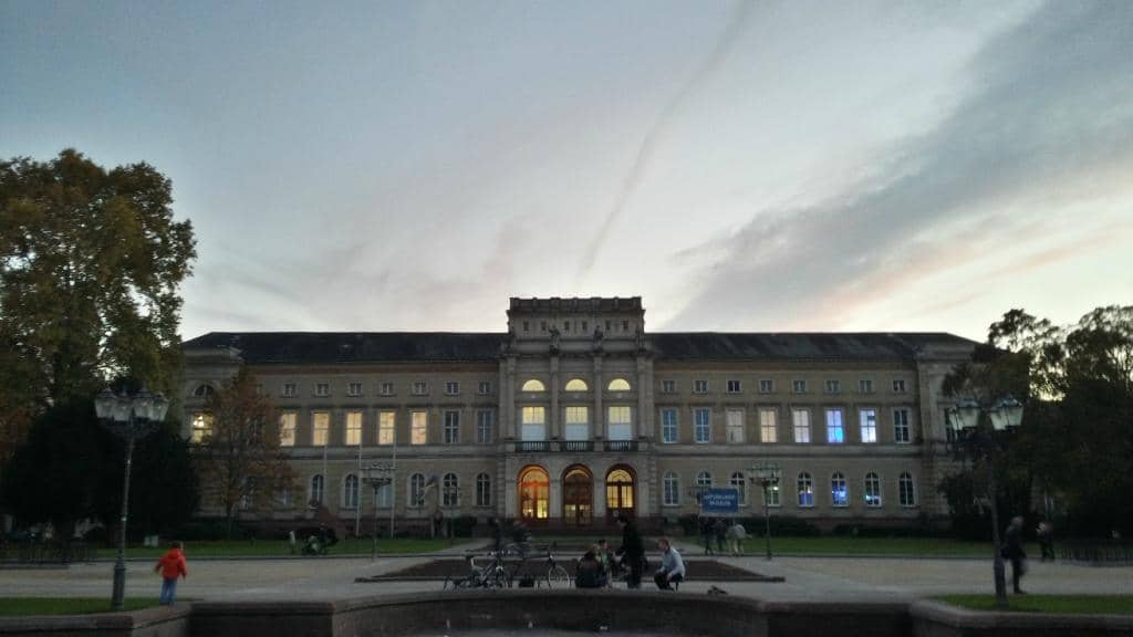 Creative Insect Expo