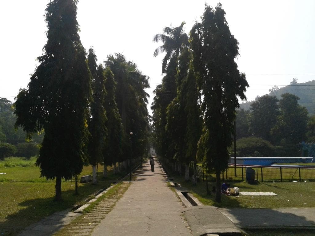 inside park