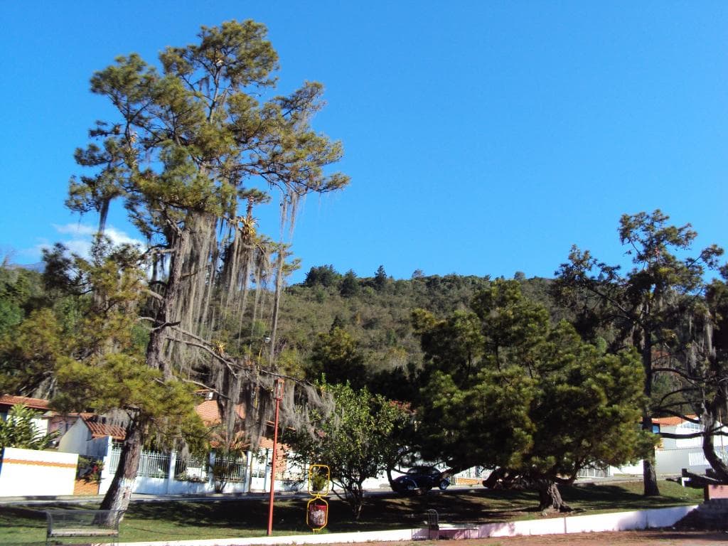 alrededores de la plaza